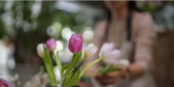 平安浙江“三微”比赛反邪教单元优秀作品《毒之花》